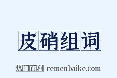 皮硝组词是什么意思的图片